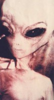 Piccoli Grigi di Zeta Reticuli 