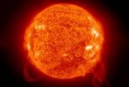 Sole